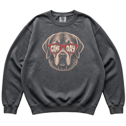 Pepper Golden Retriever Game Day Sunglasses sweatshirt, laid flat