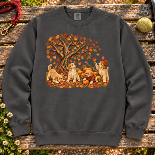 Four Golden Retriever puppies with pumpkins beneath an autumn tree on a Pepper garment-dyed sweatshirt