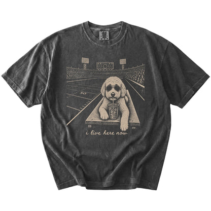 Goldendoodle ready for football and tailgate season on a Pepper Comfort Colors® T-shirt