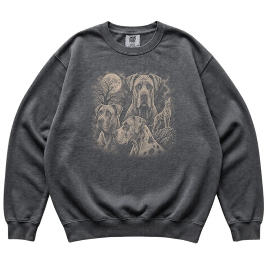 Great Dane 90s Moon Sweatshirt in Pepper — flat lay