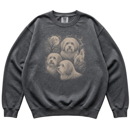 Havanese 90s Moon Sweatshirt in Pepper — flat lay