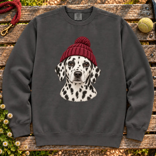 Pepper Dalmatian hipster sweatshirt with a dog portrait in a chunky maroon beanie