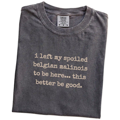 Folded Pepper Comfort Colors® T-shirt showing the “I Left My Spoiled Belgian Malinois Home” saying