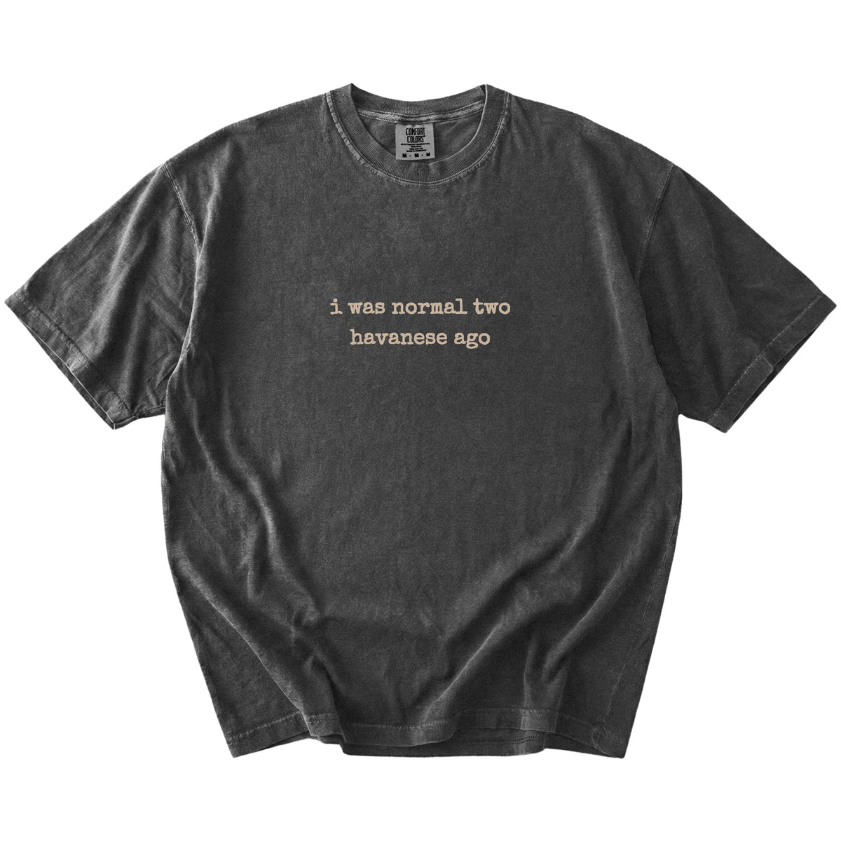 I Was Normal Two Havanese Ago lettering on a Pepper Comfort Colors® T-shirt