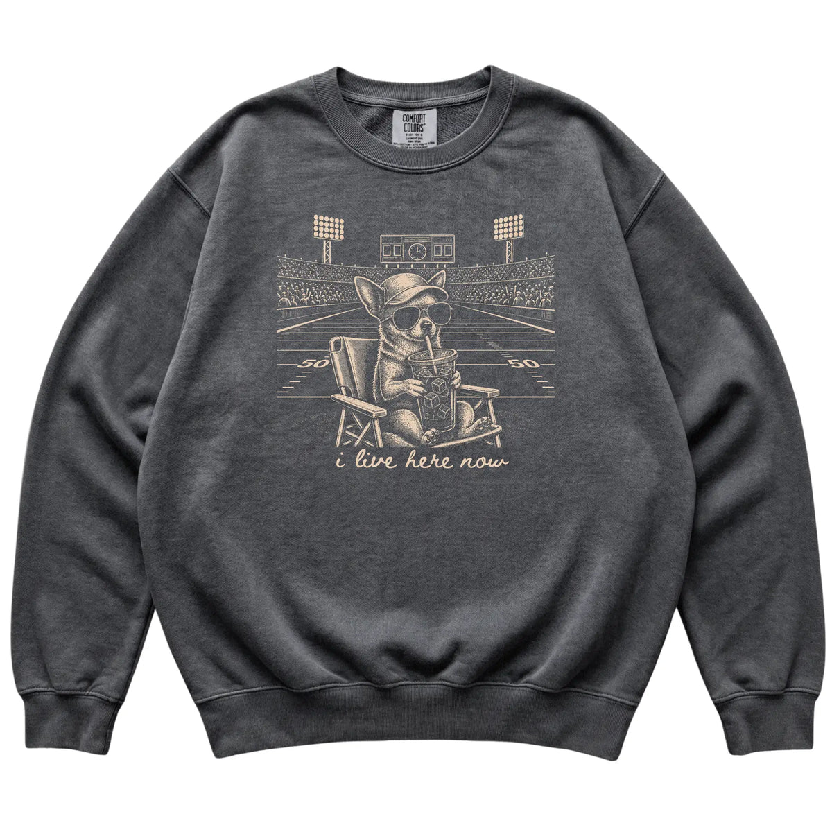 Pepper I live here now Chihuahua sweatshirt, laid flat