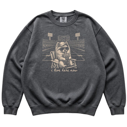 Pepper I live here now Pomeranian sweatshirt, laid flat