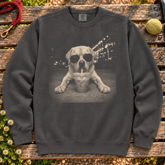 Labrador Retriever Iced Coffee sweatshirt in Pepper