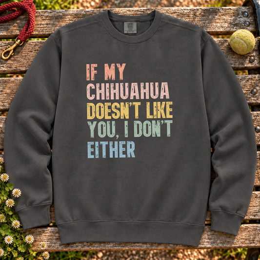 “If my Chihuahua doesn’t like you, I don’t either” text on a Pepper sweatshirt
