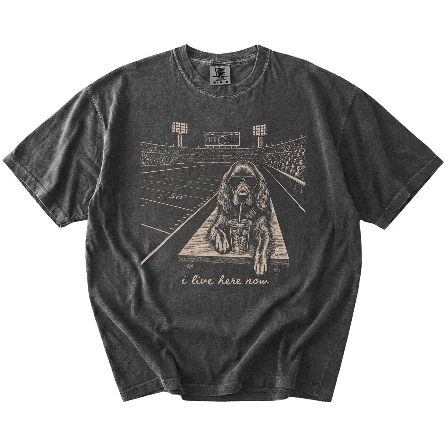 Irish Setter ready for football and tailgate season on a Pepper Comfort Colors® T-shirt