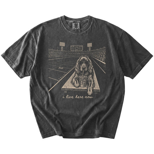 Irish Setter ready for football and tailgate season on a Pepper Comfort Colors® T-shirt