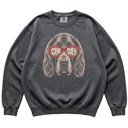 Pepper Irish Setter Game Day Sunglasses sweatshirt, laid flat