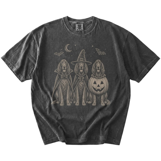 Three Irish Setter dogs dressed for Halloween beneath bats and a crescent moon on a Pepper Comfort Colors® T-shirt