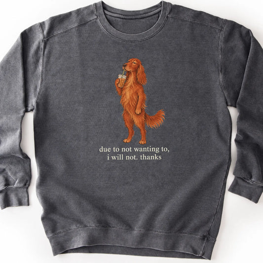 Irish Setter I Will Not design with iced coffee on a pepper sweatshirt