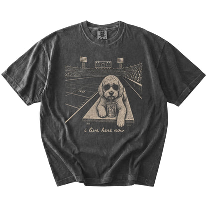Labradoodle ready for football and tailgate season on a Pepper Comfort Colors® T-shirt