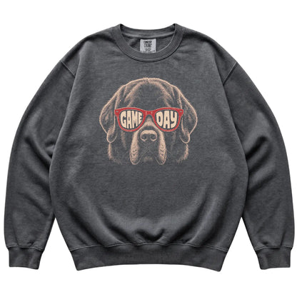 Pepper Newfie Game Day Sunglasses sweatshirt, laid flat
