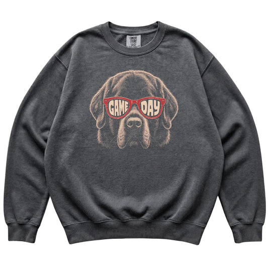 Pepper Newfie Game Day Sunglasses sweatshirt, laid flat