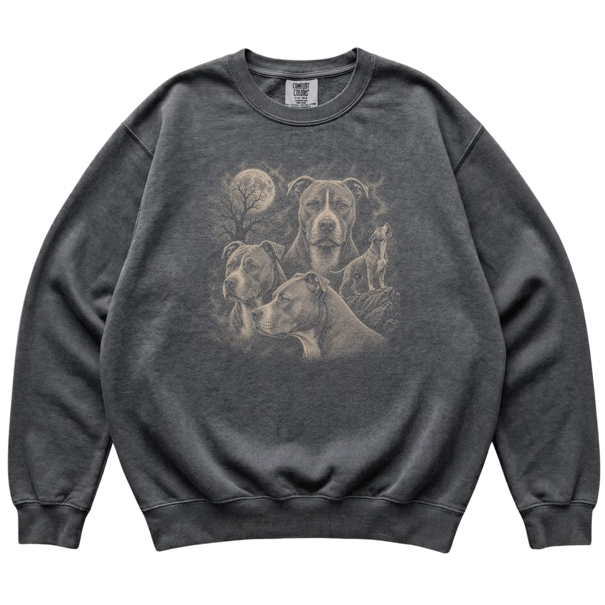 Pitbull 90s Moon Sweatshirt in Pepper — flat lay