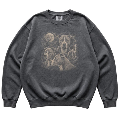 Pitbull 90s Moon Sweatshirt in Pepper — flat lay