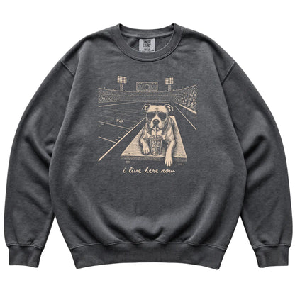 Pepper Pitbull Football Tailgate sweatshirt, laid flat