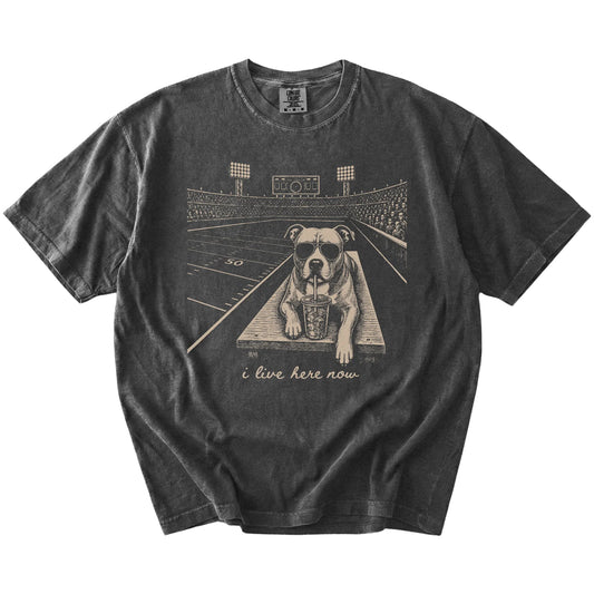 Pitbull ready for football and tailgate season on a Pepper Comfort Colors® T-shirt