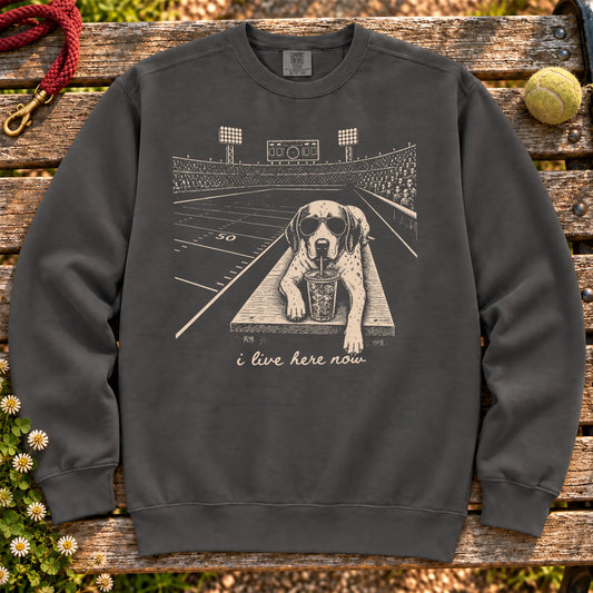 Pointer Football Tailgate on a Pepper crewneck sweatshirt, shown flat