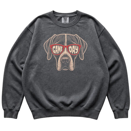 Pepper Pointer Game Day Sunglasses sweatshirt, laid flat