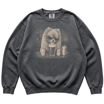 Pepper Pomeranian drinking from a pint at a bar, laid flat