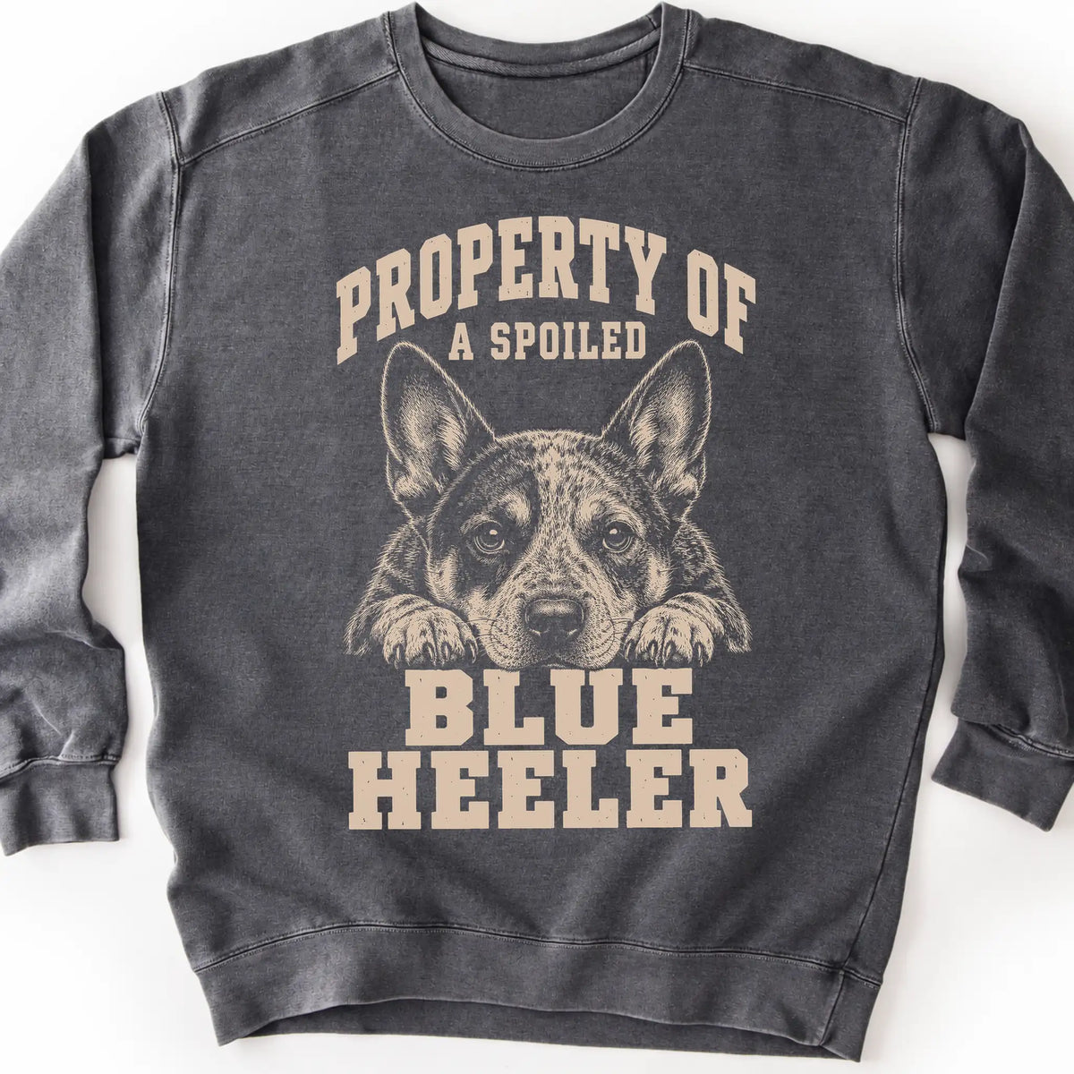 Pepper Blue Heeler sweatshirt with a dog portrait and “Property of a Spoiled” lettering.