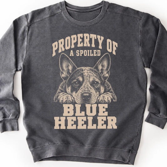 Pepper Blue Heeler sweatshirt with a dog portrait and “Property of a Spoiled” lettering.