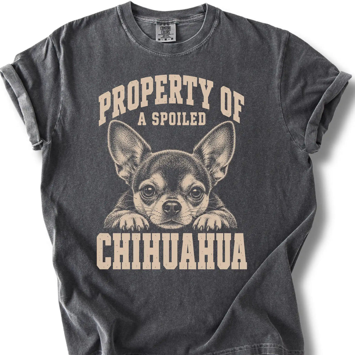Pepper Chihuahua T-shirt with a dog portrait and “Property of a Spoiled” lettering.