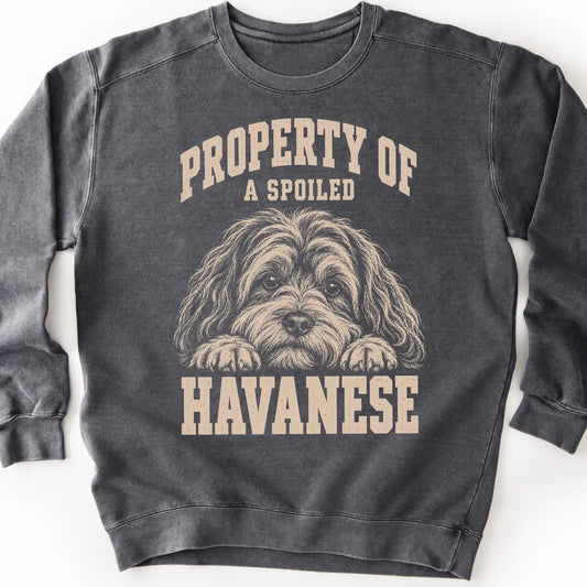 Pepper Havanese sweatshirt with a dog portrait and “Property of a Spoiled” lettering.