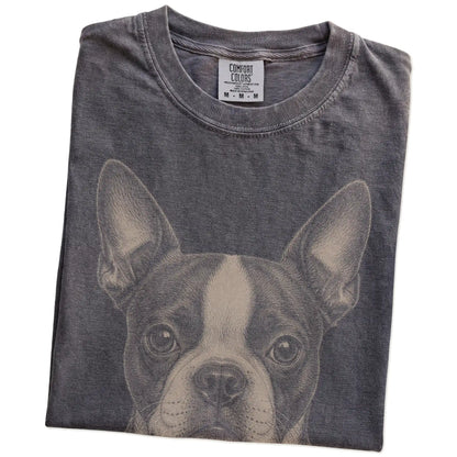 Folded Pepper Comfort Colors® T-shirt showing a realistic drawing of a Boston Terrier
