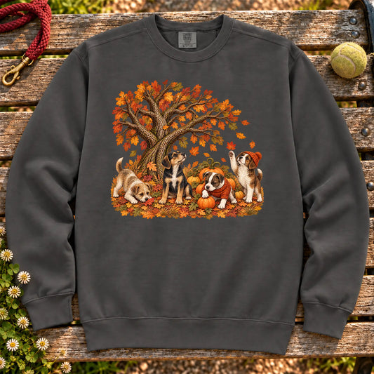 Four Rescue Mixed Breed puppies with pumpkins beneath an autumn tree on a Pepper Comfort Colors sweatshirt
