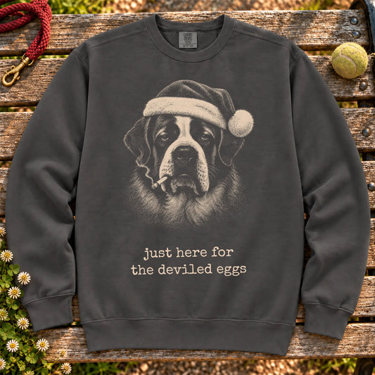 St Bernard wearing a Santa hat and smoking on a Pepper sweatshirt
