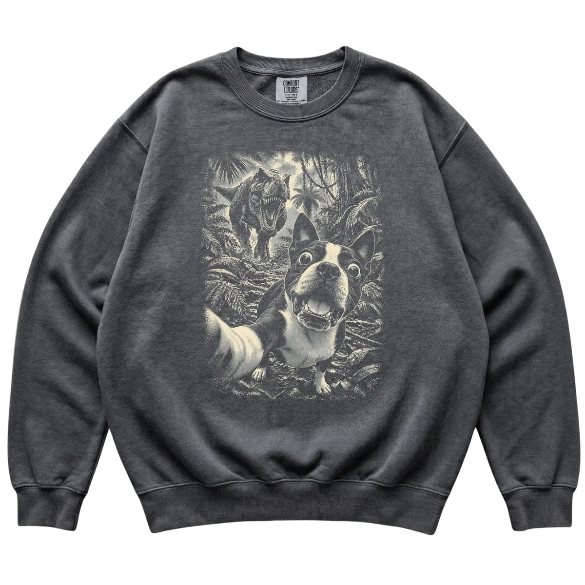 T-Rex Selfie Boston Terrier Comfort Colors 1566 Sweatshirt in Pepper, flat lay