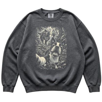 T-Rex Selfie Boston Terrier Comfort Colors 1566 Sweatshirt in Pepper, flat lay