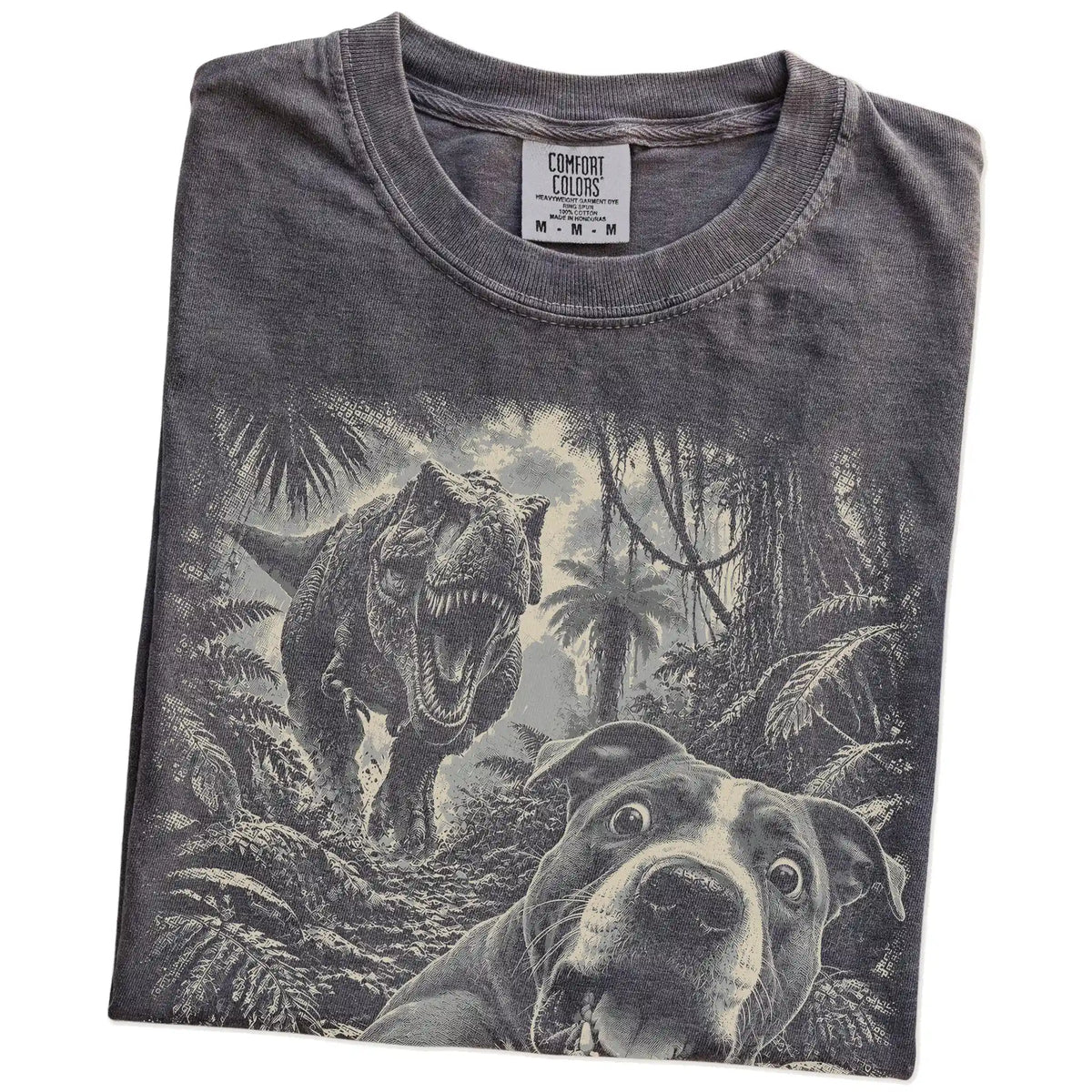 T-Rex Selfie Pitbull Comfort Colors 1717 T-Shirt in Pepper, folded detail