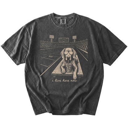 Weimaraner ready for football and tailgate season on a Pepper Comfort Colors® T-shirt