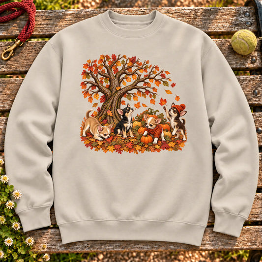 Four Chihuahua puppies with pumpkins beneath an autumn tree on a Sand crewneck sweatshirt
